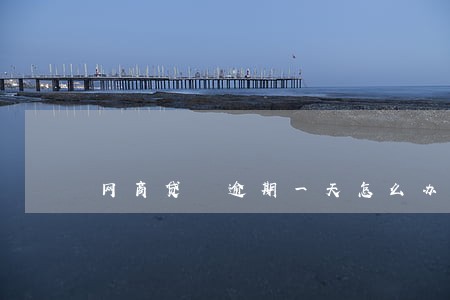 网商贷 逾期一天怎么办 网商贷 逾期一天怎么办